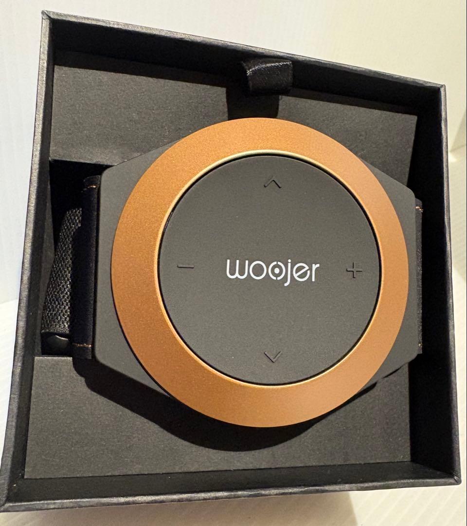 Woojer Strap Edge 起動確認済み