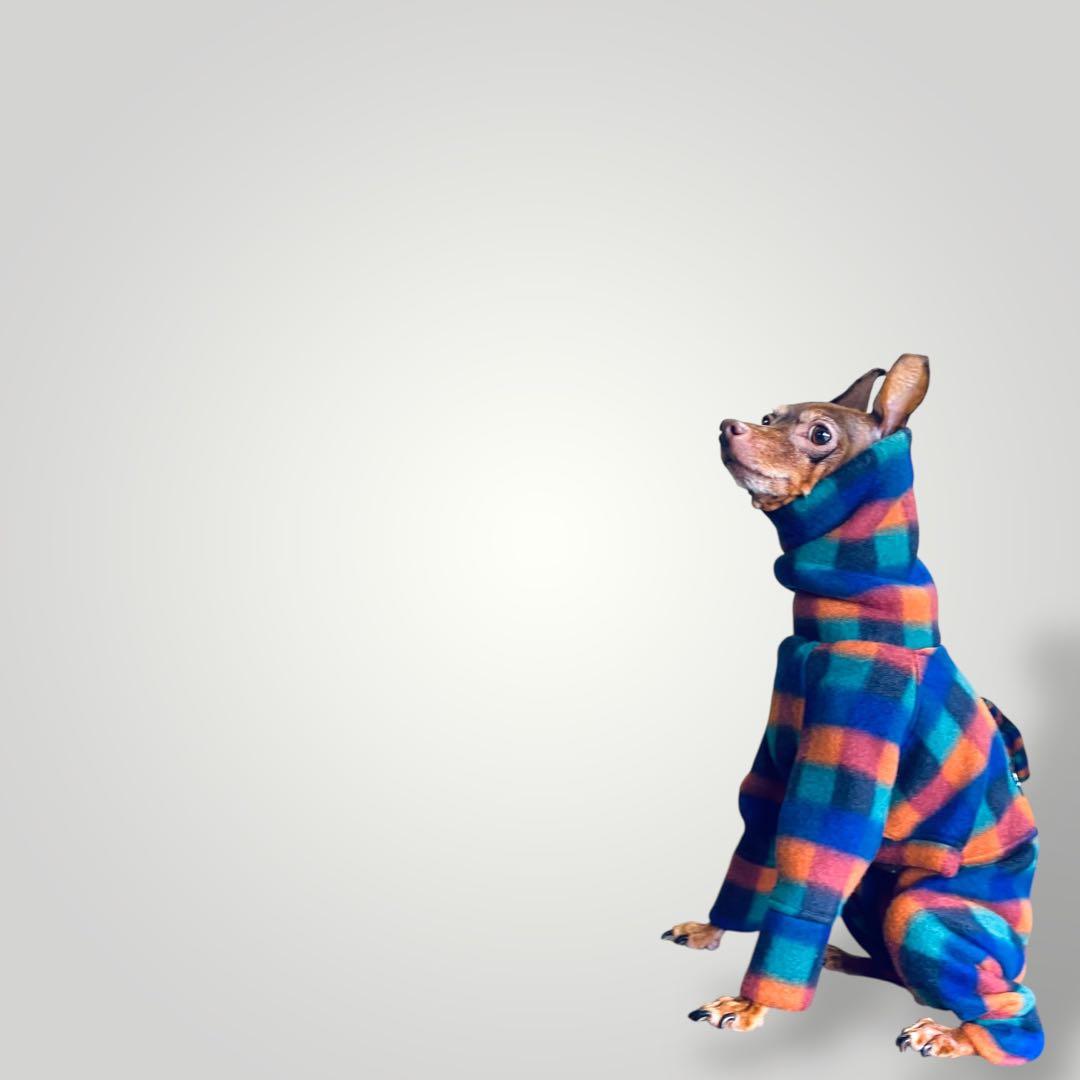 ㉑マルチカラーブロックフリース