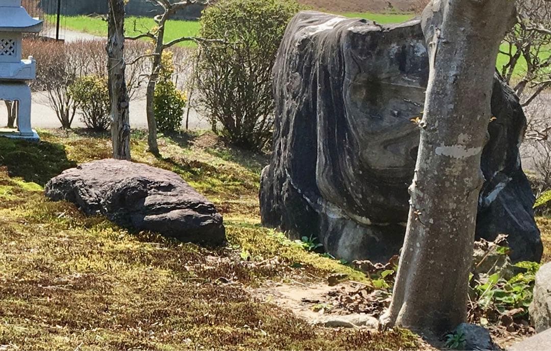 天然石 2点セット！特大 黒白縞模様 茶色【石川県引き取り限定】まとめ割