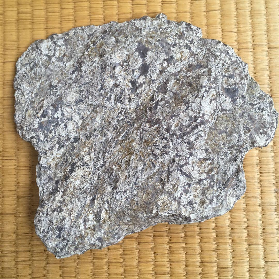 菊花石 置物