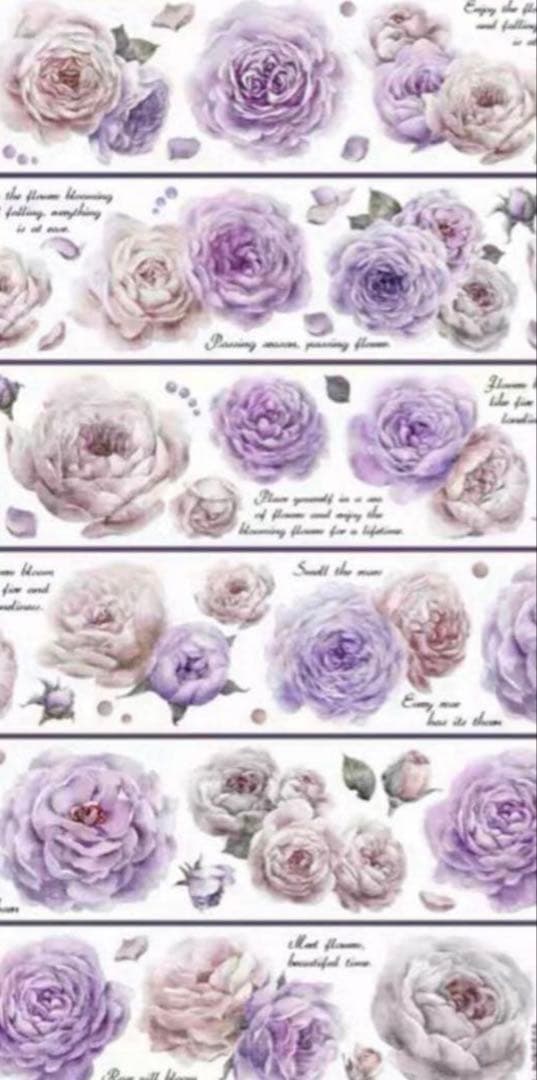 セール161 海外 PETテープ マスキングテープ