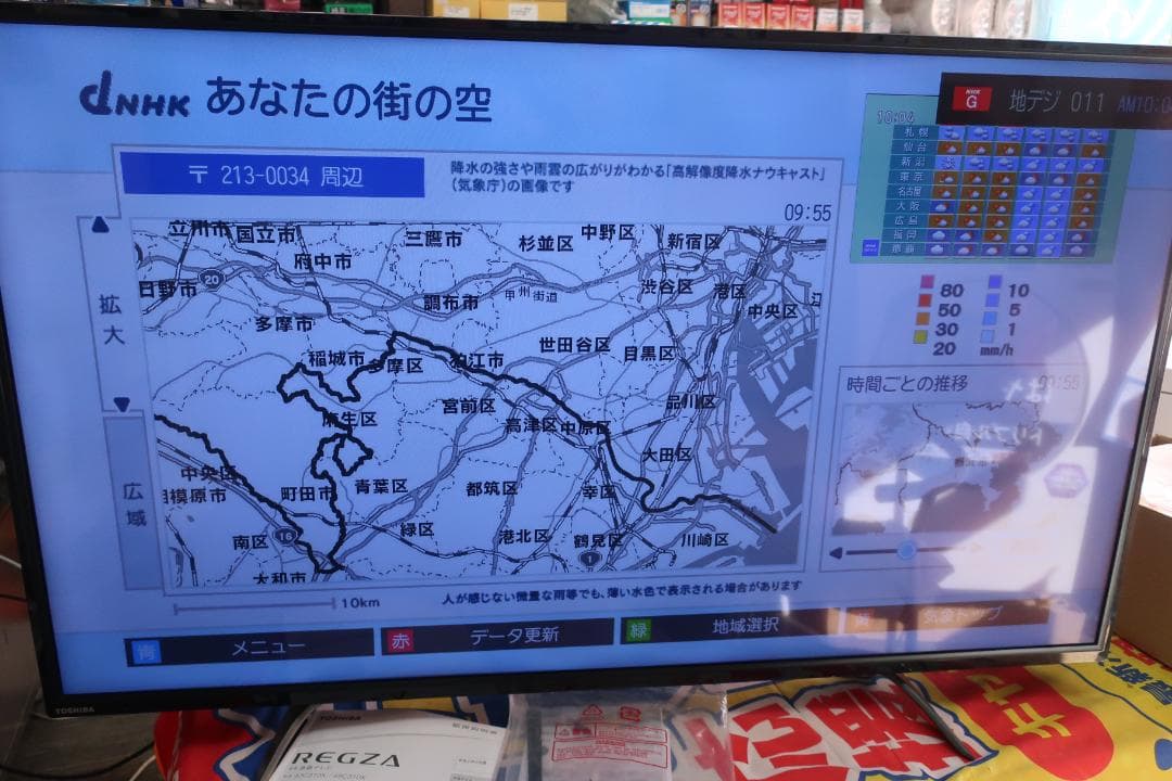 TOSHIBA REGZA 4K液晶テレビ 49C310X 2019年製