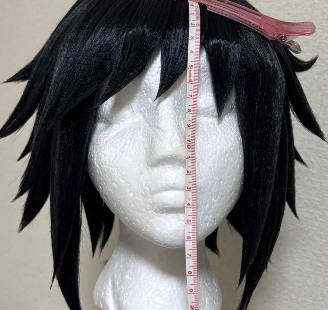 鬼滅の刃 冨岡義勇 コスプレ ウィッグ