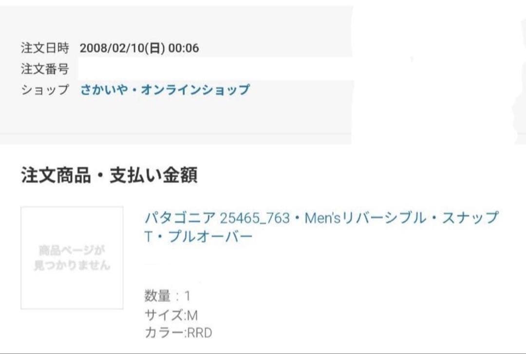 極美品Patagoniaグリセード希少