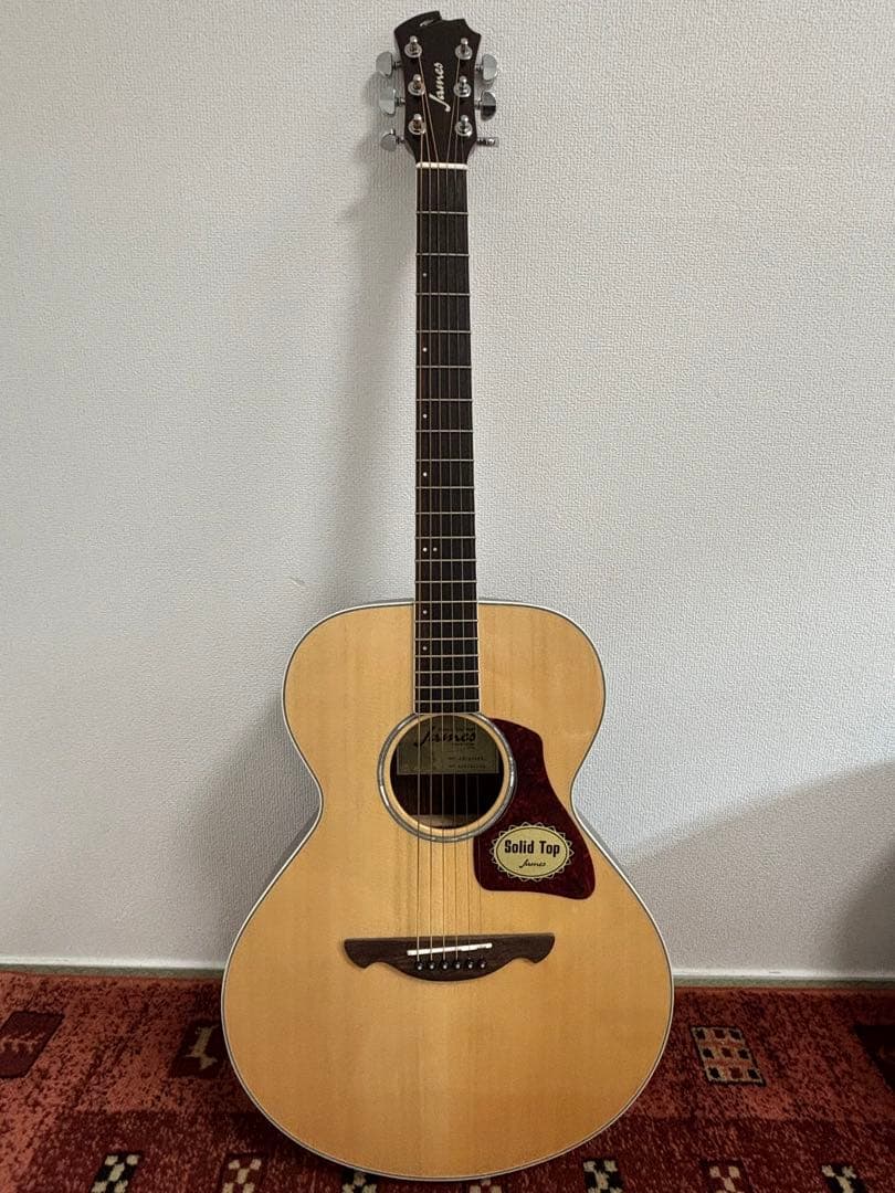 JAMES アコースティックギター JM750NAT