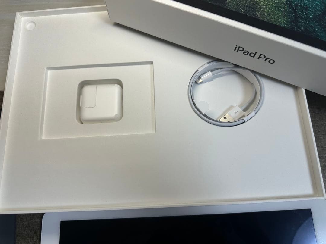 初代iPad Pro12.9インチ イヤホン　カバー　充電器付き