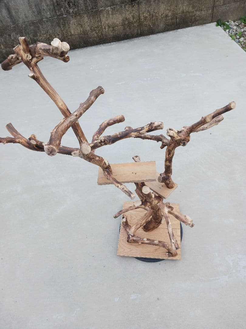 バードアスレチック バードアスレチックジム 止まり木、小鳥、流木(焼き入れ)