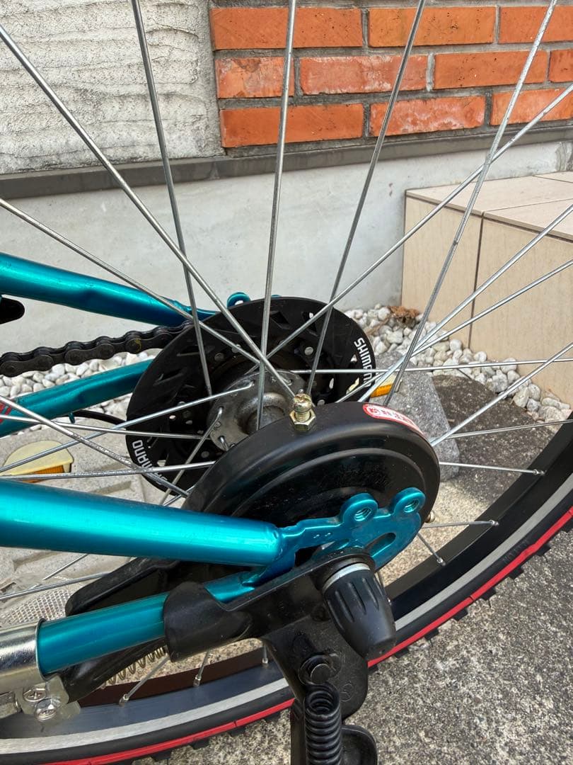 BRIDGESTONE EXJ65 22インチ　エスニックターコイズ