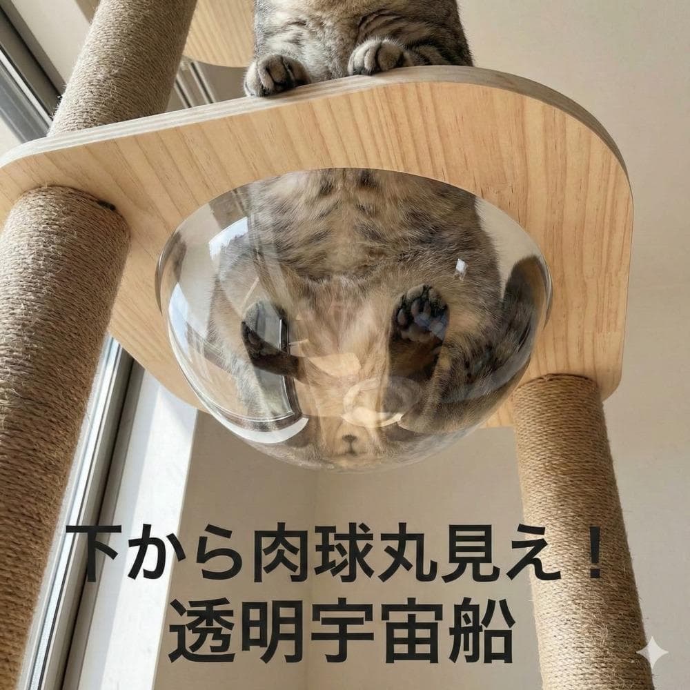 キャットタワー木製透明136cm猫タワー爪とぎ省スペースおしゃれ隠れ家据え置き