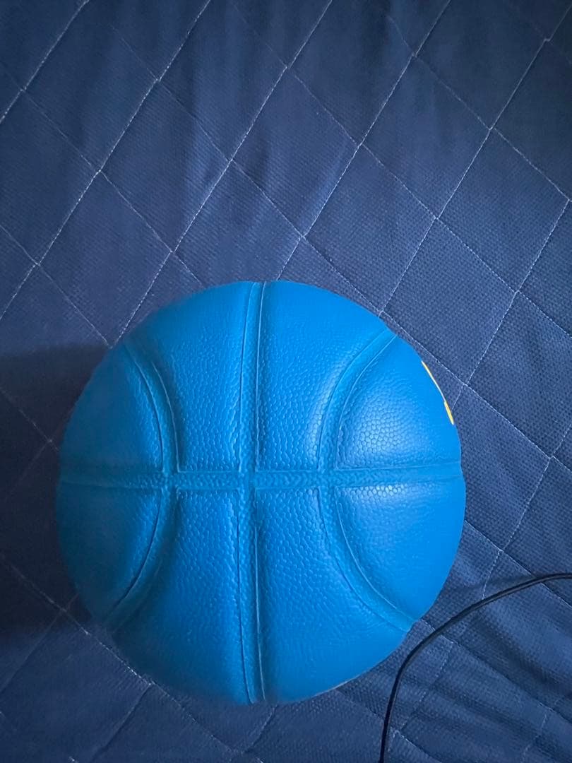 TACHIKARA Ballaholicバスケットボール　7号