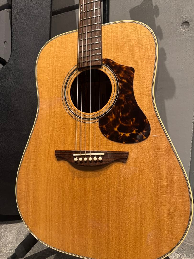 HISTORY NT-L4 専用ハードケース付き エレアコ