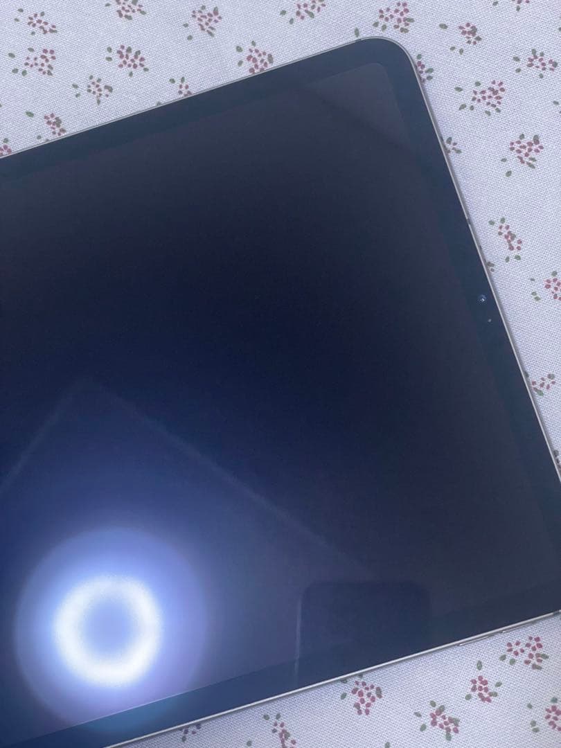 iPad Pro 11 インチ(第1世代) 256GB WiFi + セルラー
