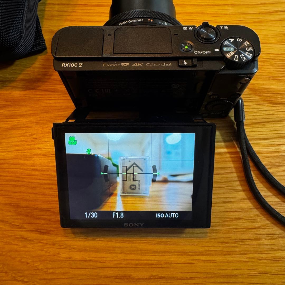 SONY RX100 V 純正充電器バッテリー ケース
