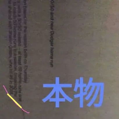 【本物です！】【判別画像あり!】大谷翔平 ボブルヘッド 50/50 盗塁ver.