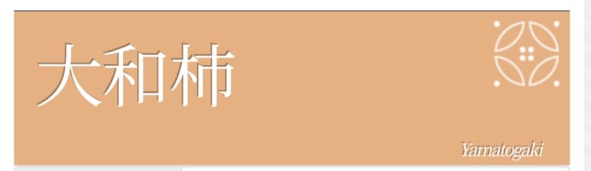 【美品】付下げ訪問着フルセット　正絹　袷　絞り　刺繍　流水草花文様　唐織六通袋帯