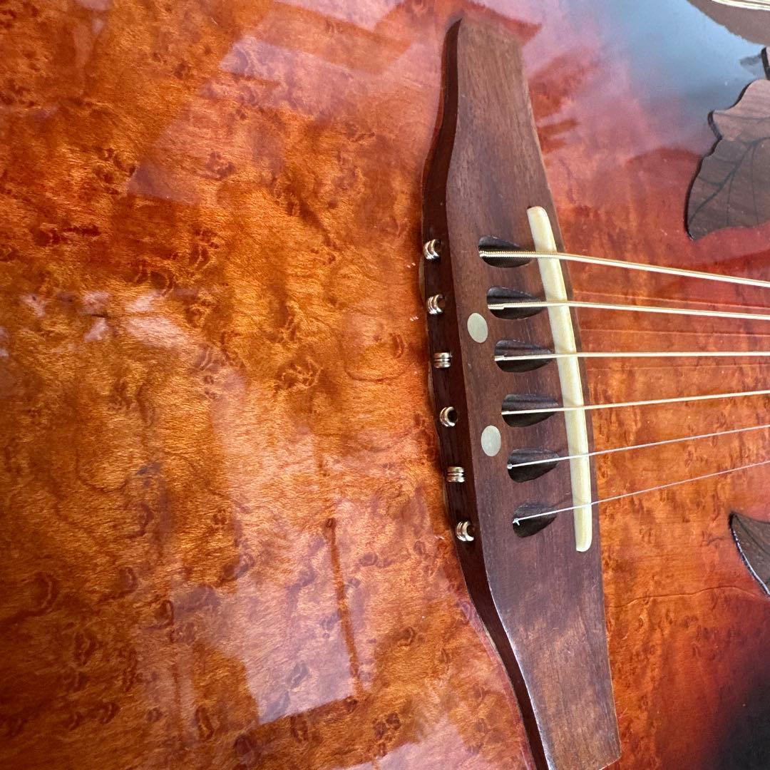 海　ちゃん専用Celebrity CC257 Deluxe エレアコギター