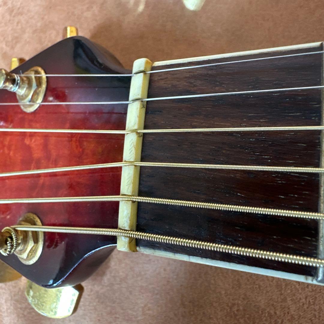 海　ちゃん専用Celebrity CC257 Deluxe エレアコギター