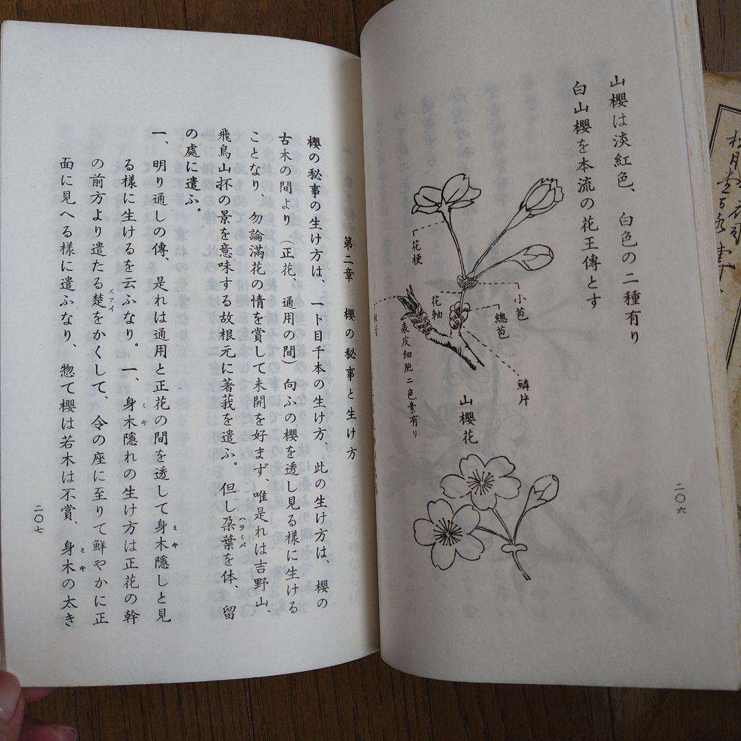 日本生花司　松月堂古流 　伝書　華道　いけばな教本