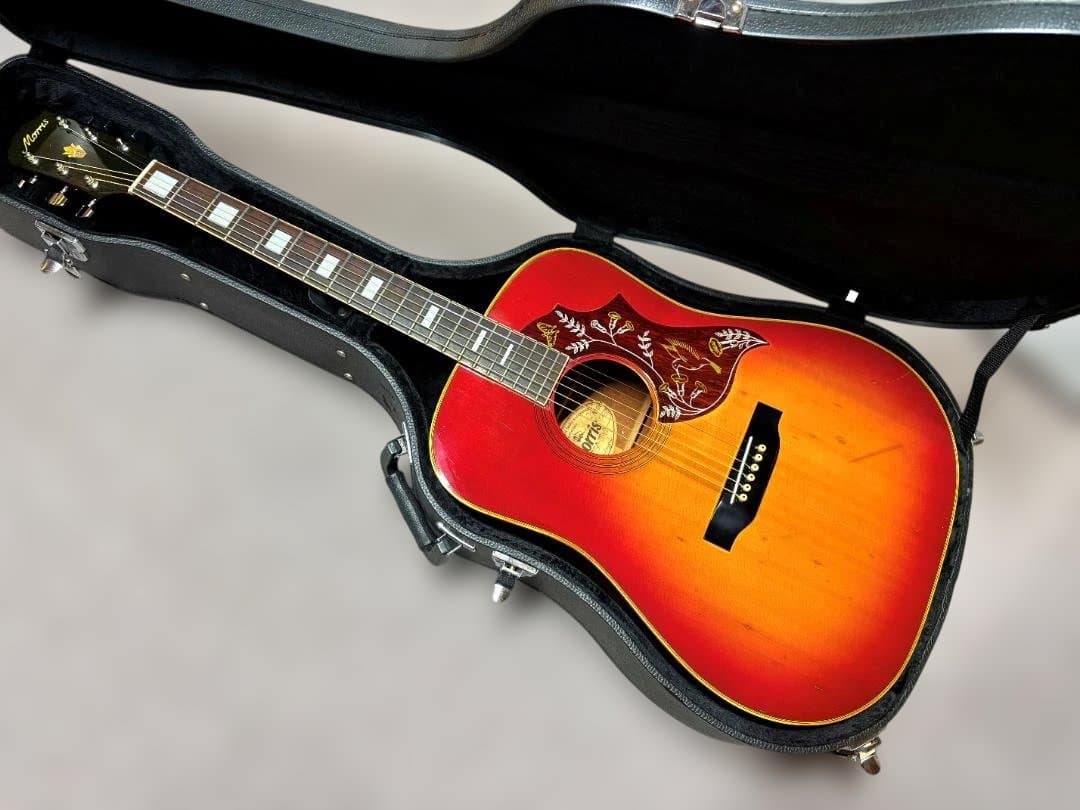 ★本家さながらのジャキ鳴！モーリス・ハミングバードモデル WH-20！ 超美品★