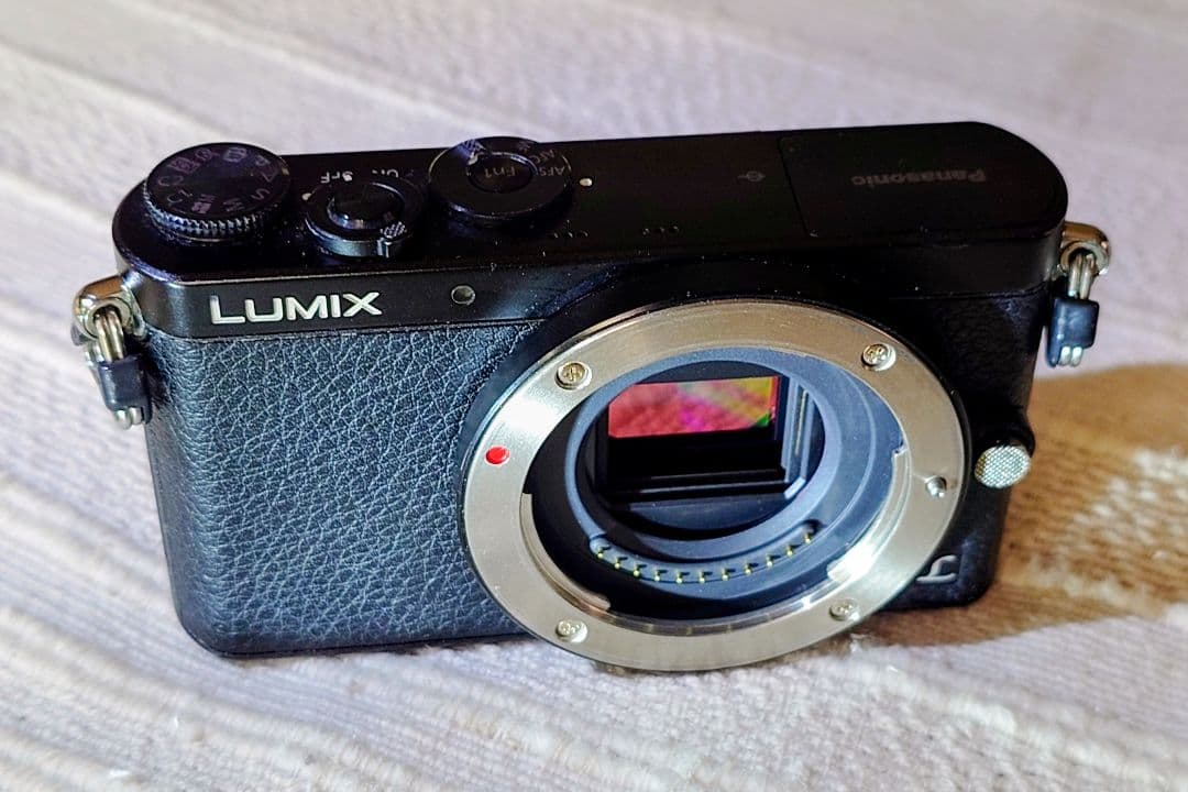 【極美品】LUMIX DMC-GM1 1600万画素 ボディ 最小・最軽量