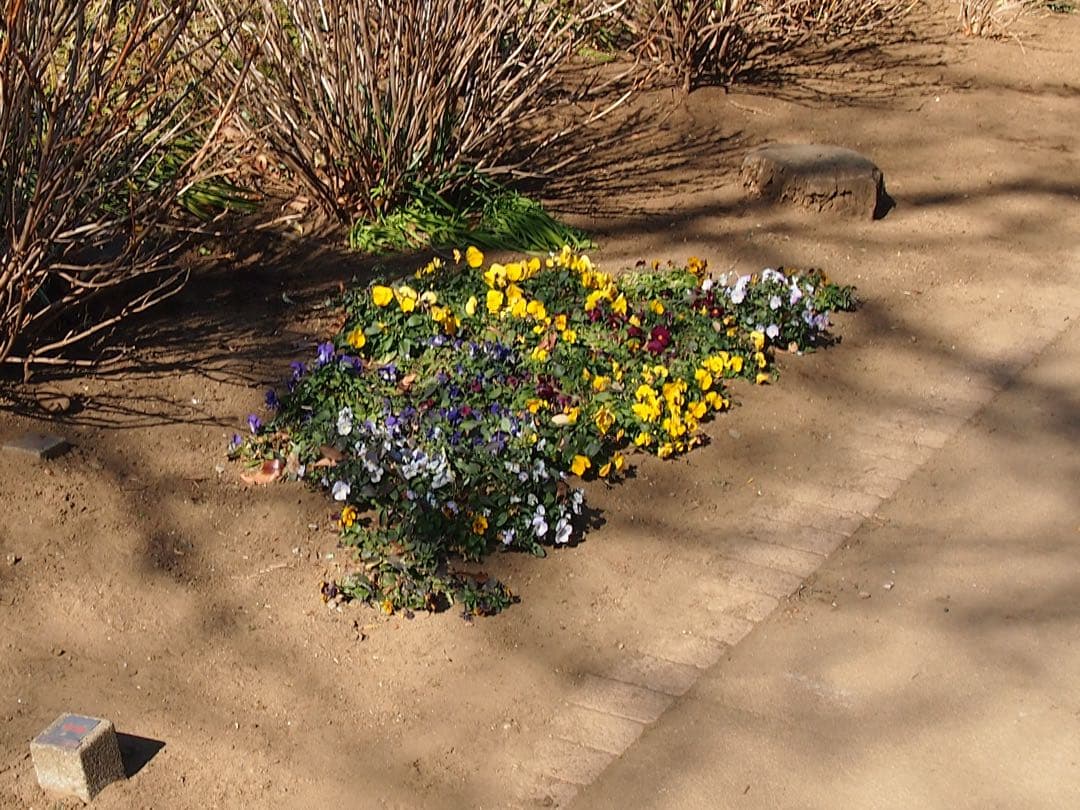 OLYMPUS PEN mini E-PM1 動作確認済 ミラーレス一眼