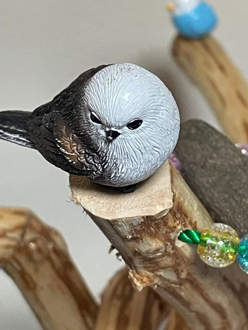 天然木製 鳥用止まり木 中型用 食器付き