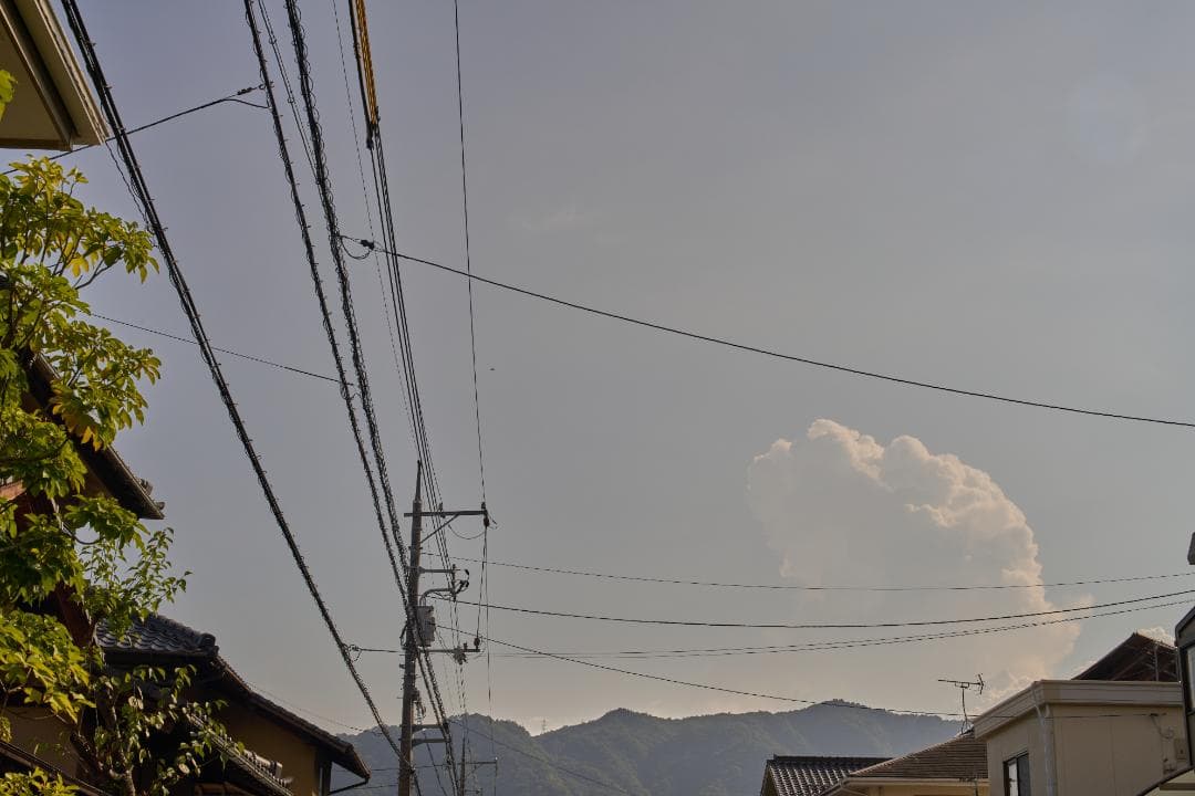 フィルムカメラ Canon New FD 50mm F1.2