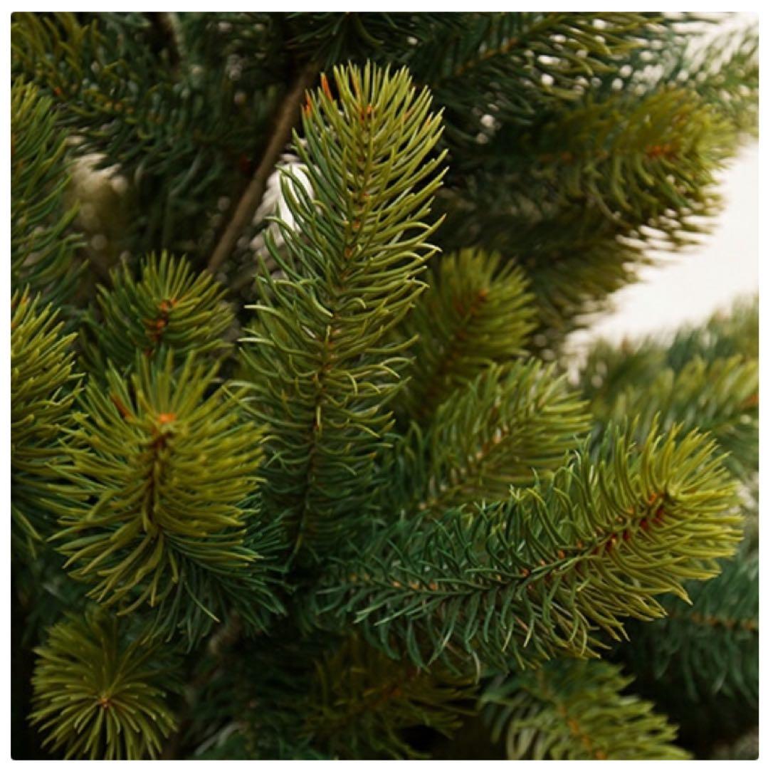 グローバルトレード社 クリスマスツリー 90cm 収納バッグ付き