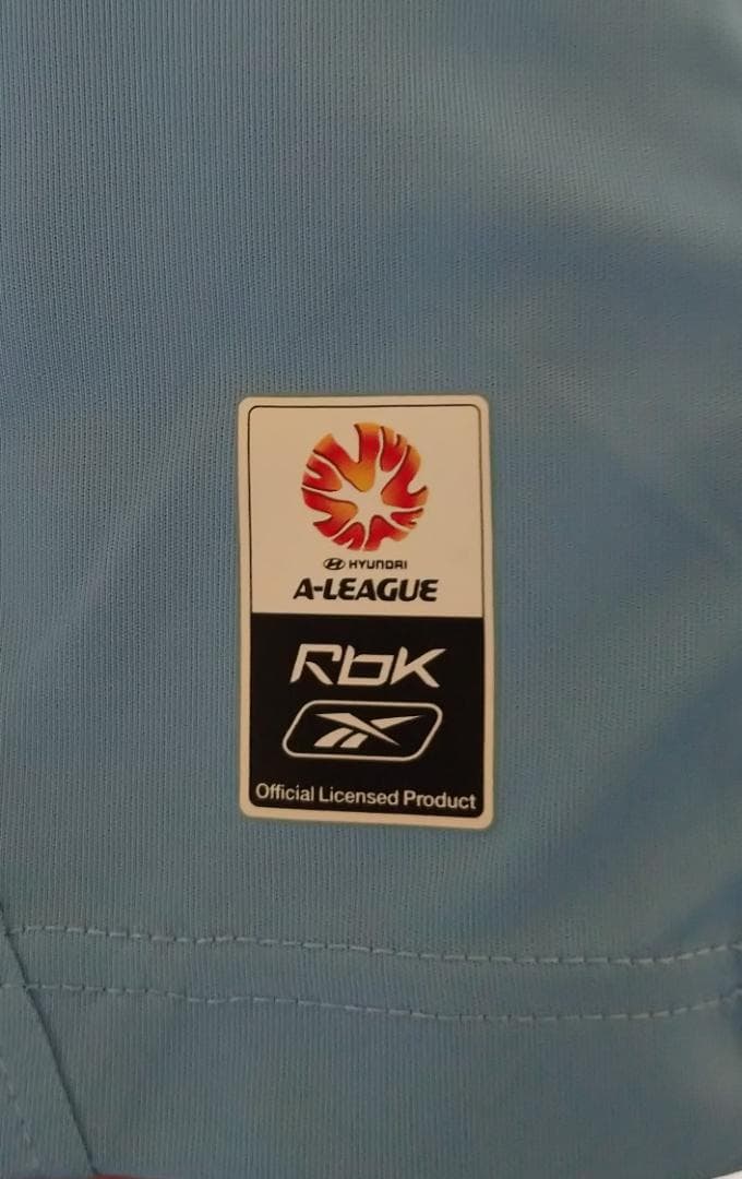 日本代表横浜FC ポルトガル三浦知良シドニーFCパッチ付き