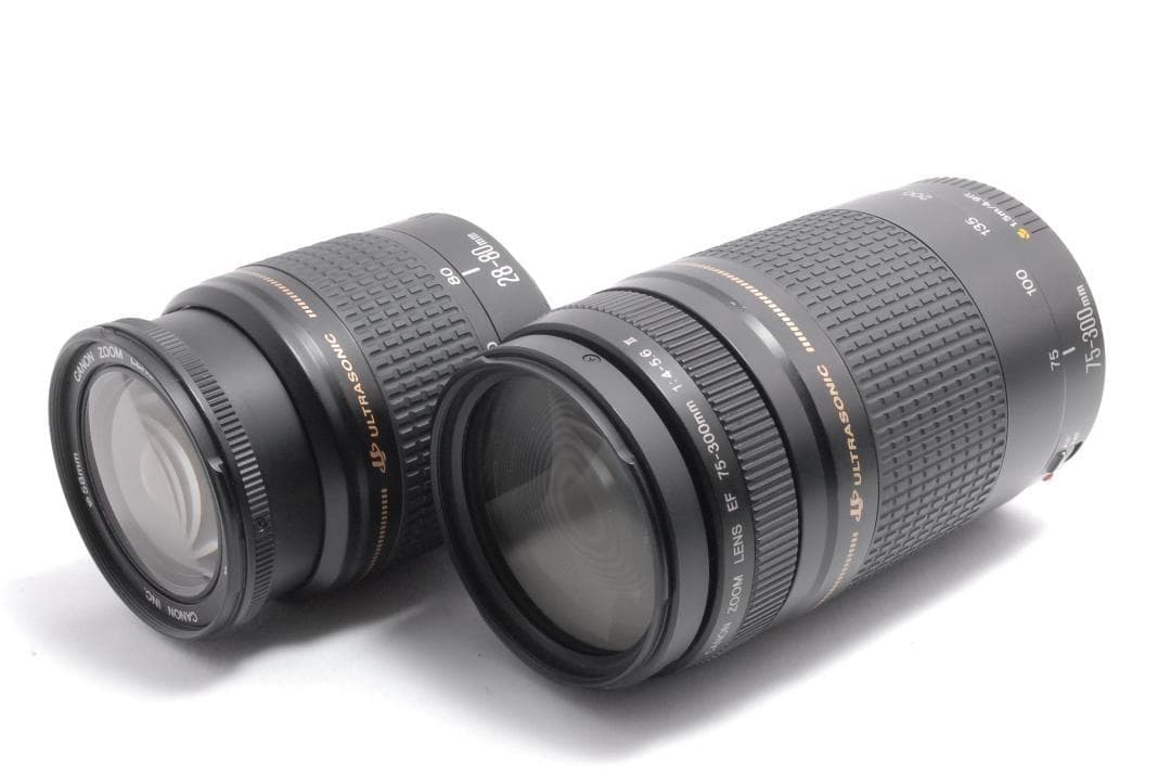 美品フルセット⭐️Canon EOS 8000D⭐️超望遠ダブルレンズ