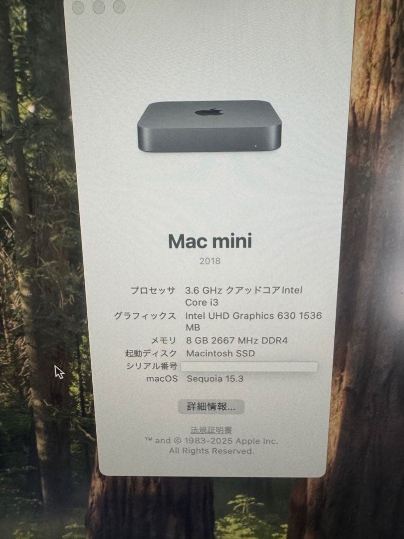 Apple Mac mini 2018＋電源ケーブル