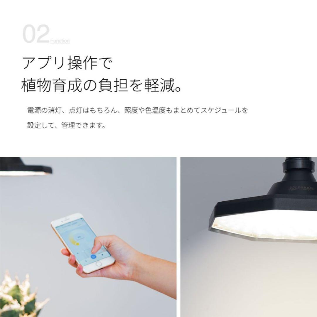 ROKI-OCTAGON-50W ロキ　オクタゴン　ブラック　ゆうゆうメルカリ便