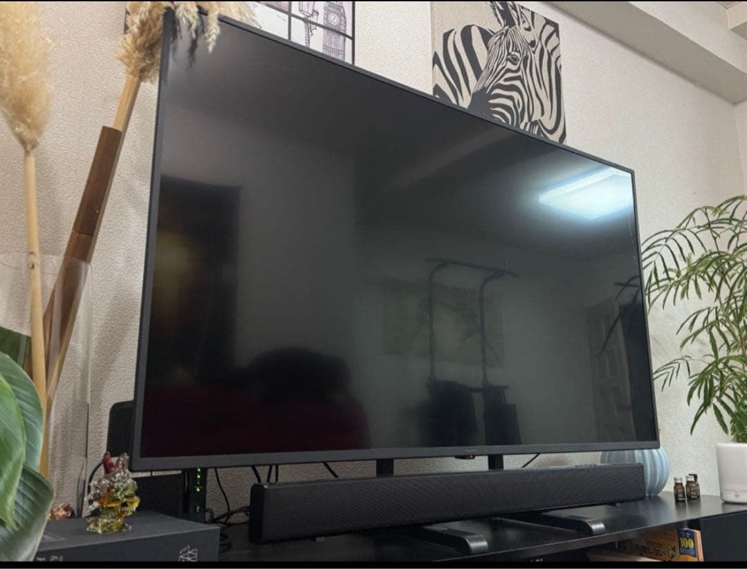 Panasonic VIERA 2021年製 58インチ TH-58JX750