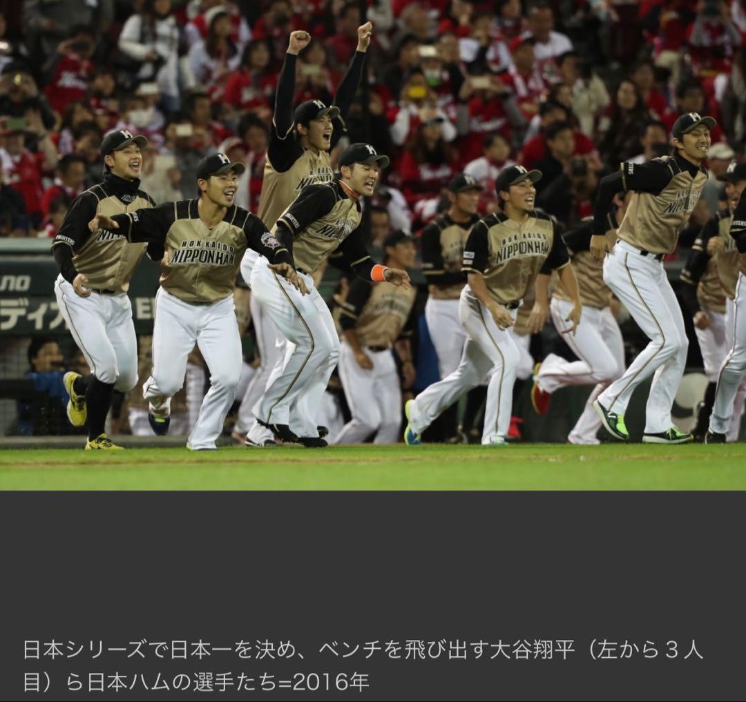 北海道日本ハムファイターズ　谷口雄也選手ユニフォーム　球団支給品　ミズノプロ