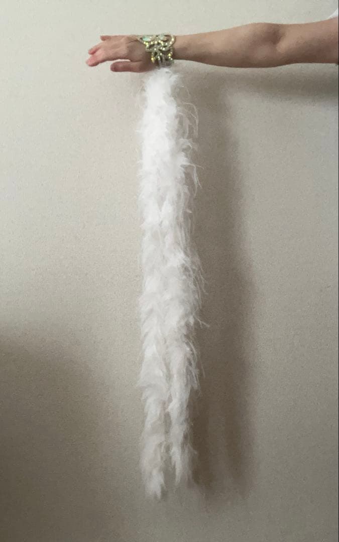 ホワイト 天然オーストリッチ　社交ダンス　フロート