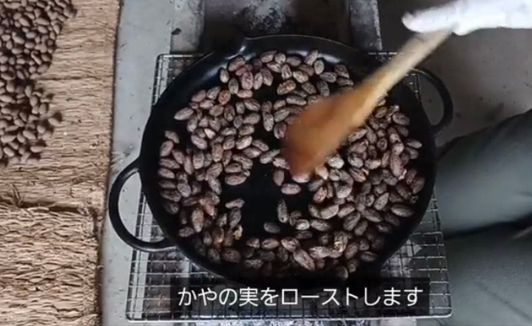 樹齢600年 榧の実（かやの実） 2025年産 1kg アク抜き済み