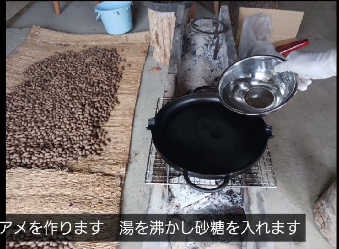 樹齢600年 榧の実（かやの実） 2025年産 1kg アク抜き済み