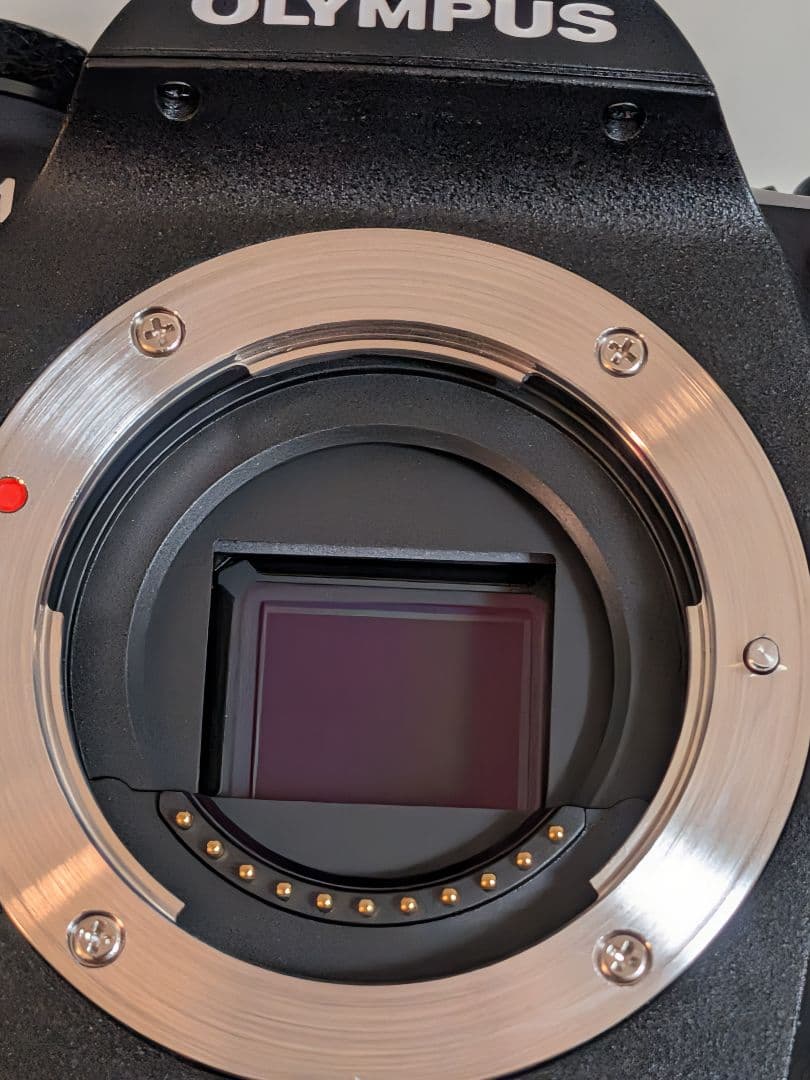 ショット数極小美品︰OM SYSTEM OM-1 ミラーレス一眼カメラ