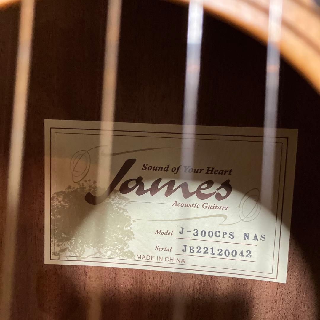 JAMES　エレアコ　アコースティックエフェクトシステム　取説付き　おまけ付き