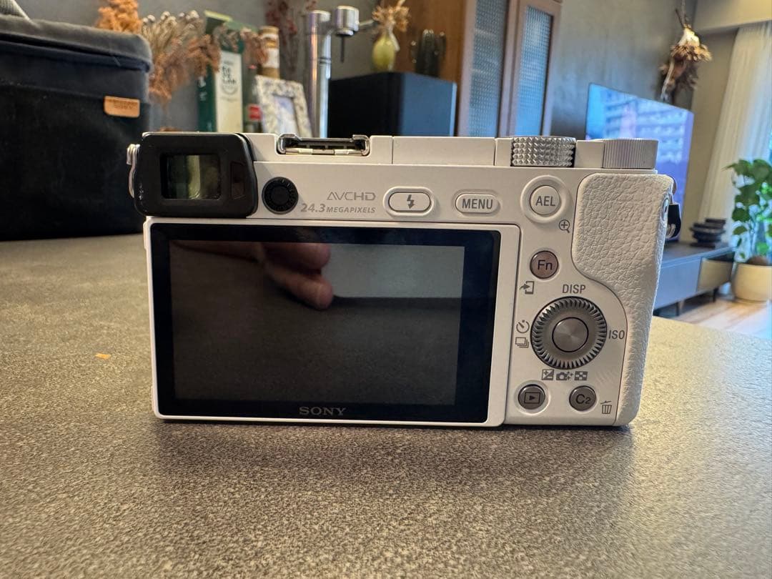 SONY a6000 ホワイト　SEL30M35付き