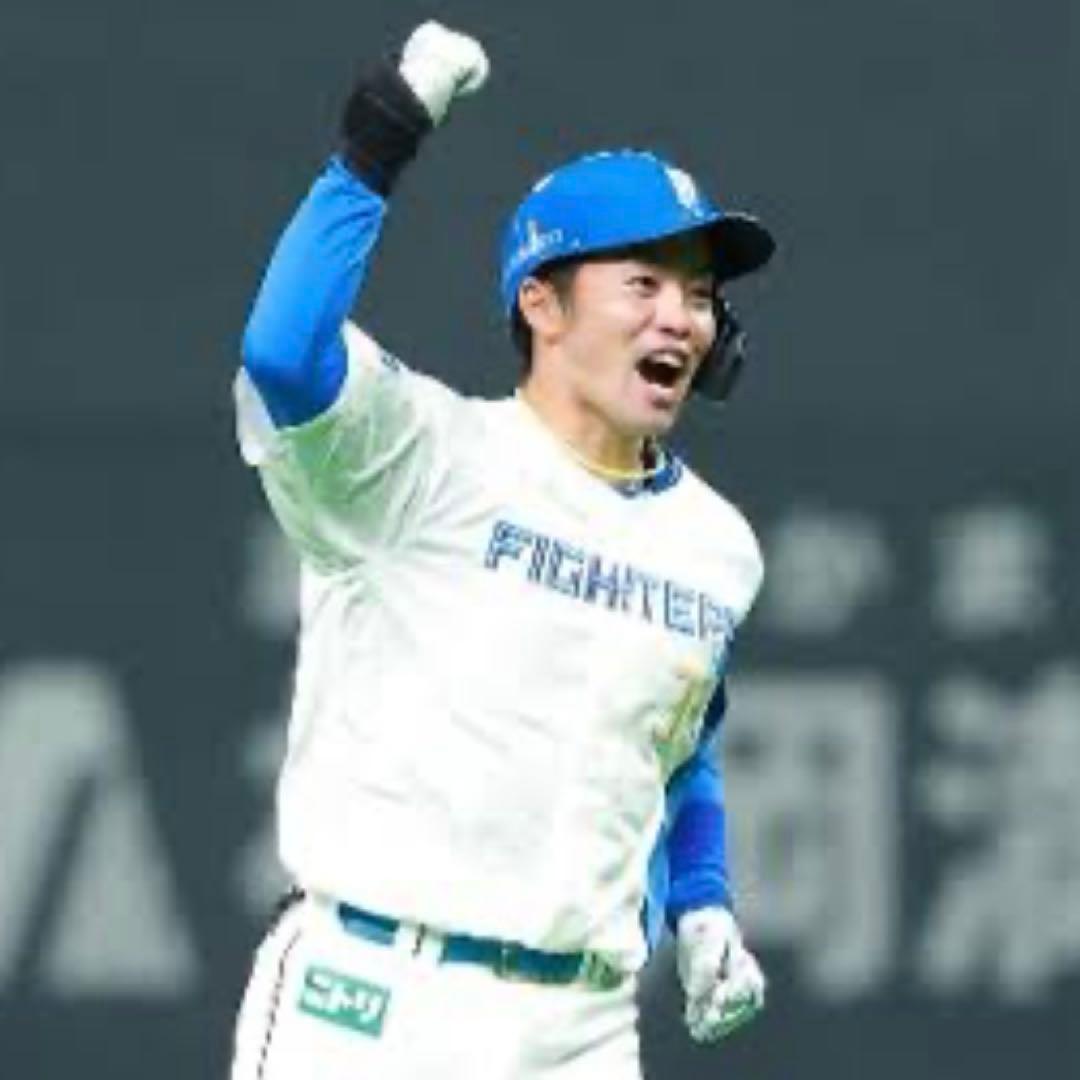 サイズL 北海道 日本ハム ファイターズ 谷内亮太 現役時代 レプリカ ユニ