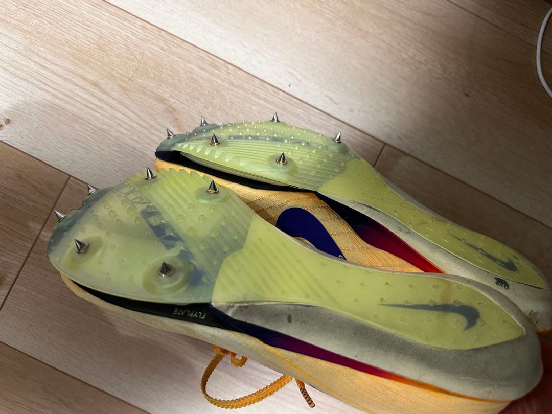 Nike MAXフライ2 28cm