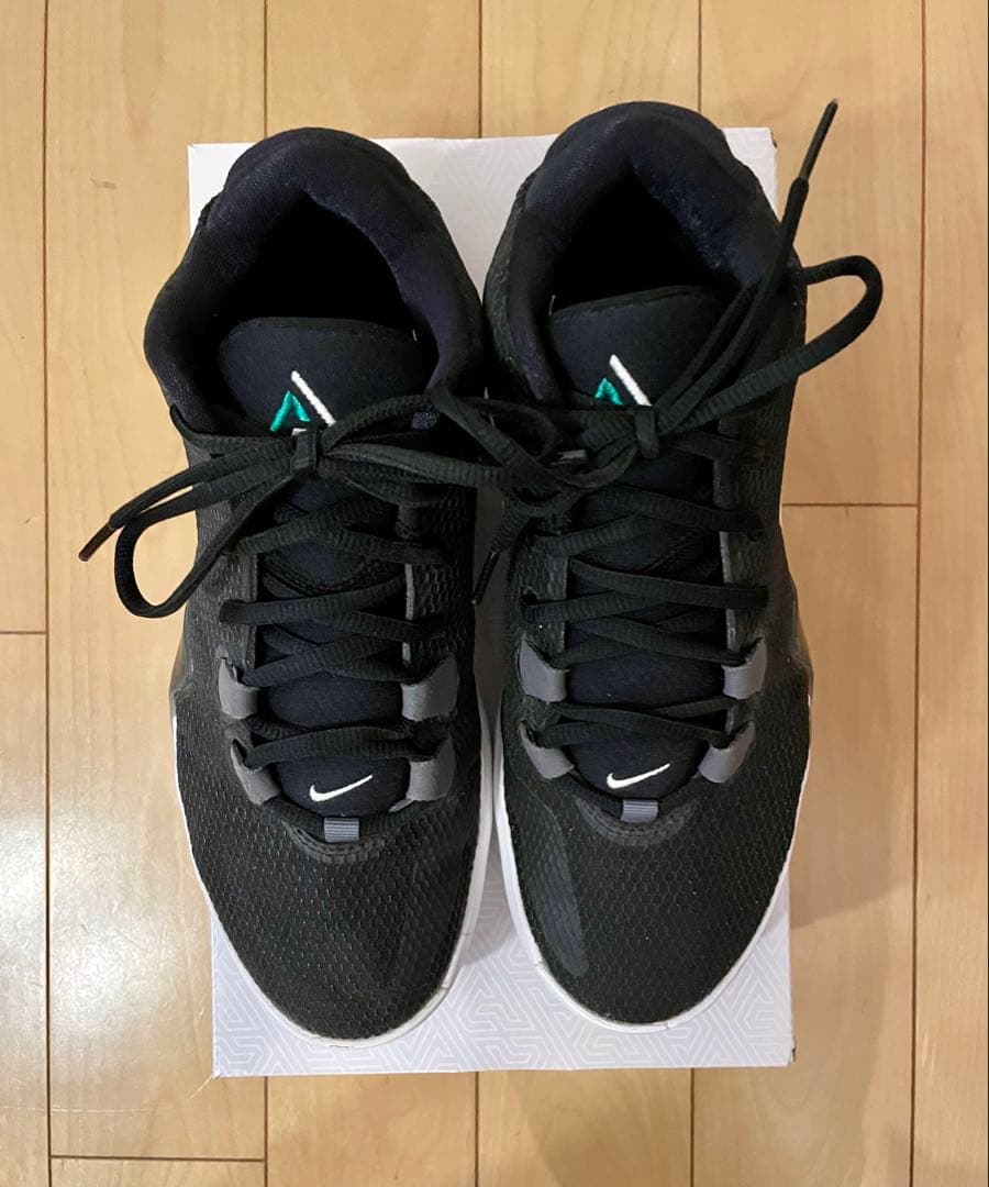 NIKE、ズームフリーク1、26センチ