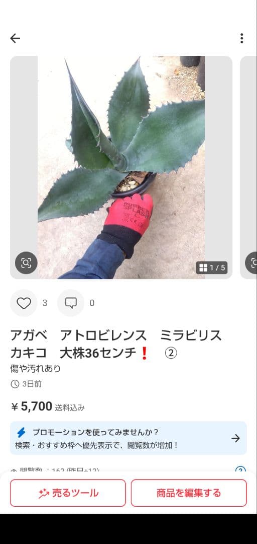 うーたん　同梱価格