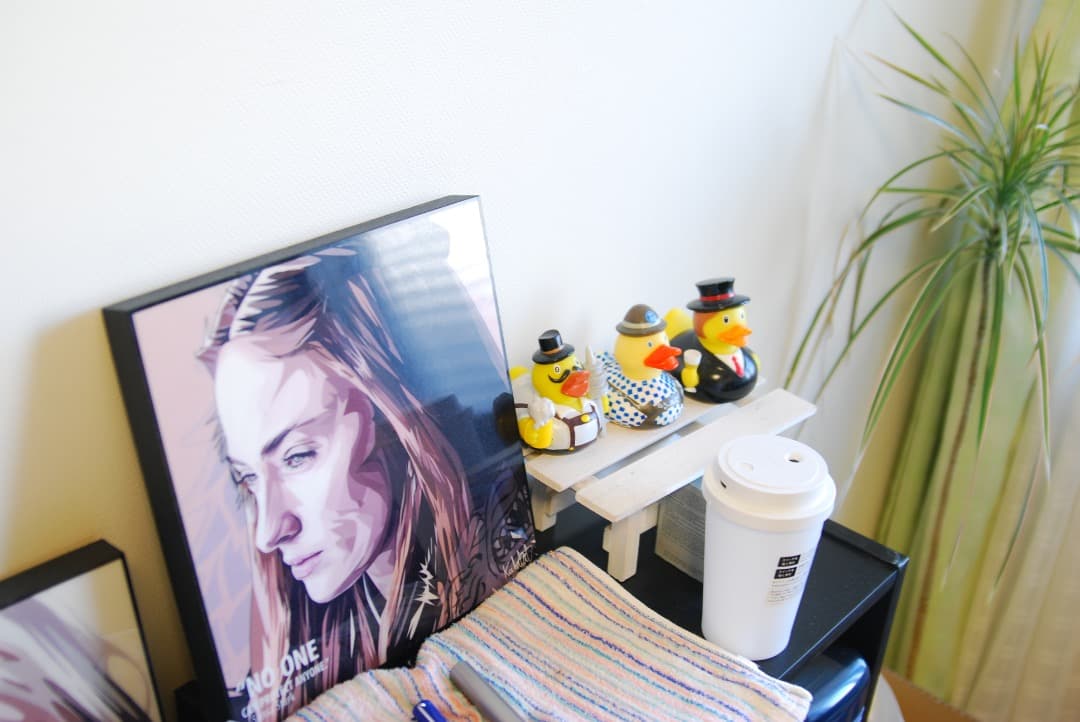 TAMRON SP AF28-75mm F/2.8 ニコン用