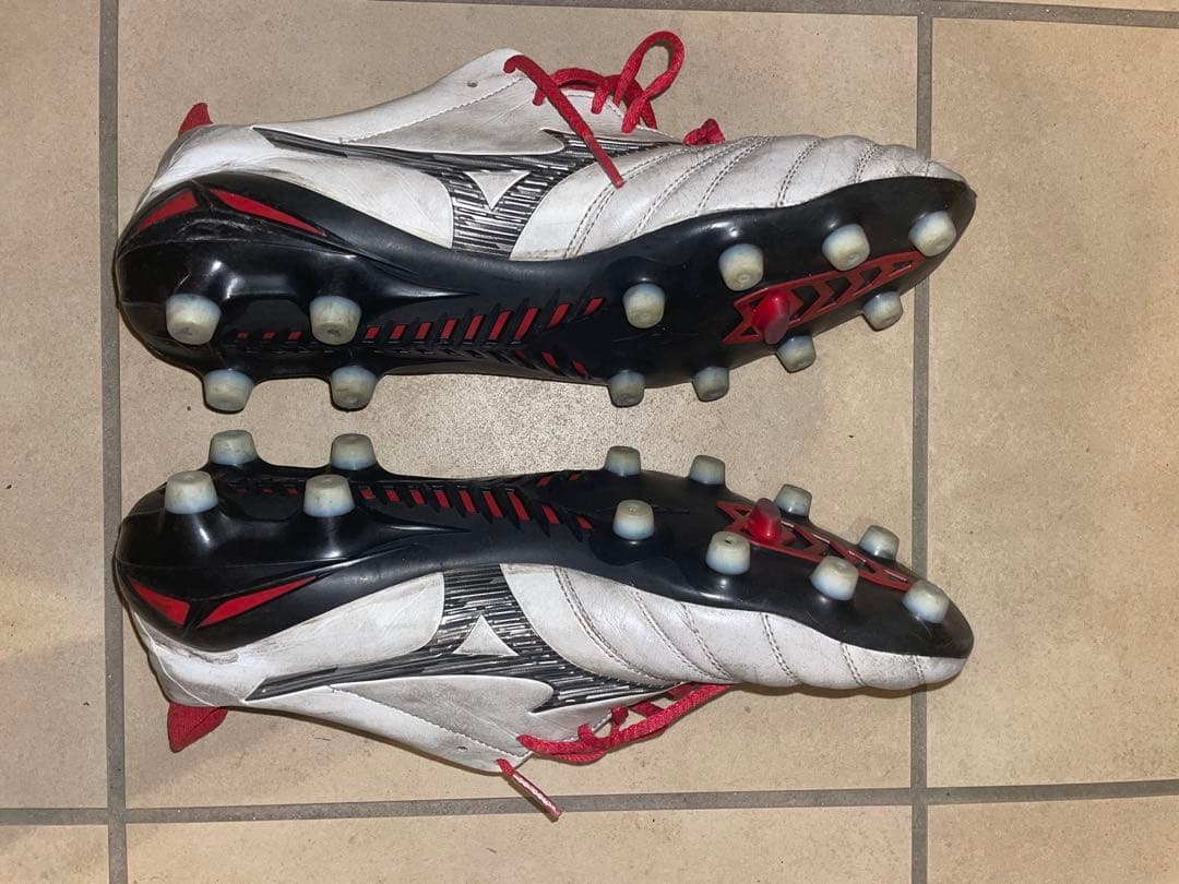 p*r様 モレリアネオ3