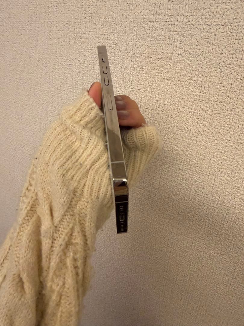 かいろApple iPhone 13 Pro シルバー 本体