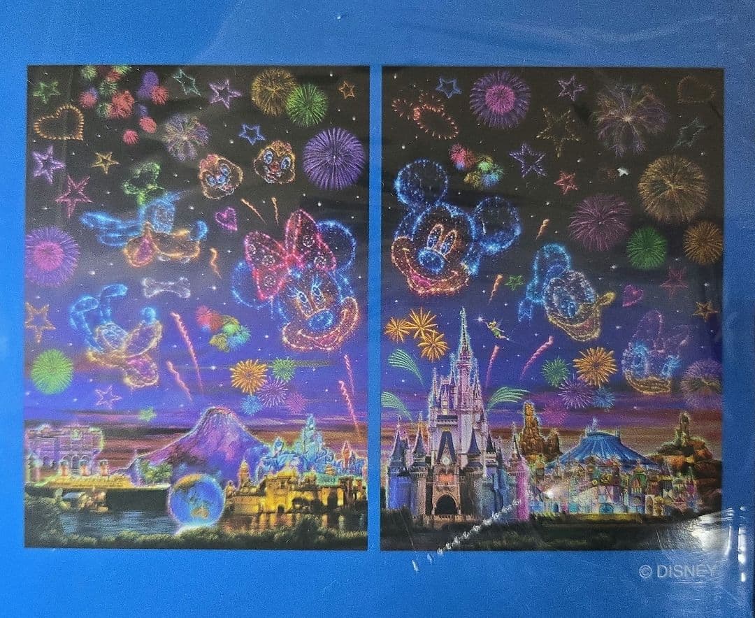 東京ディズニーリゾート　カーテン