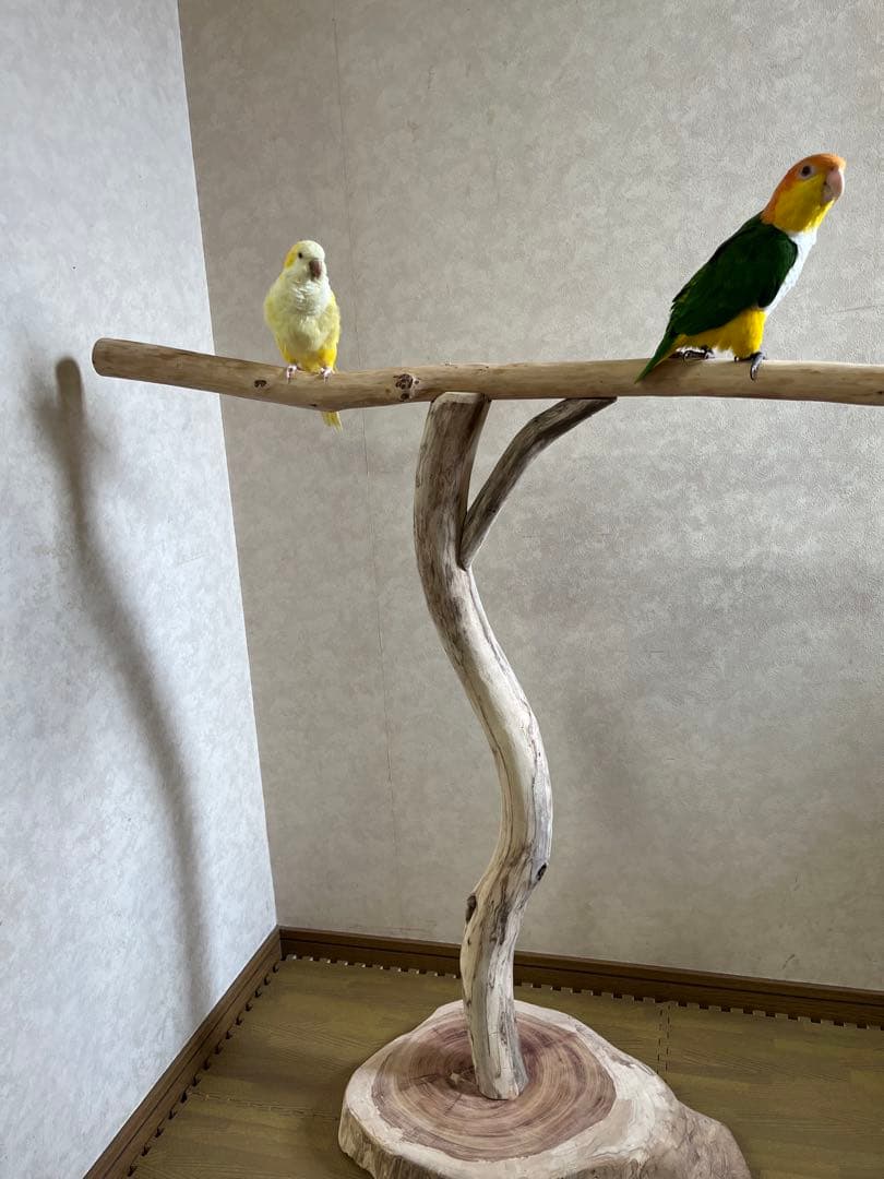 ナオタ様確認用大型インコオウム止まり木オウムスタンドパーチ