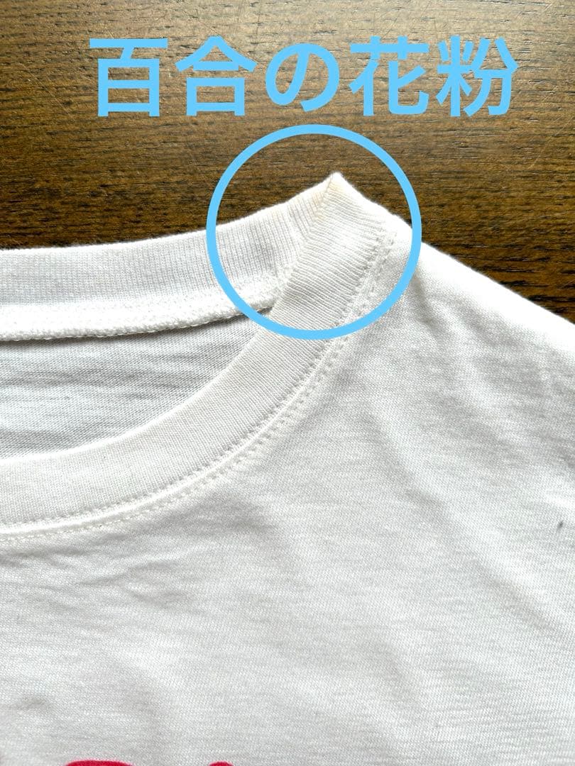 GUCCI プリントコットンTシャツ チルドレン　ウクレレ柄　150